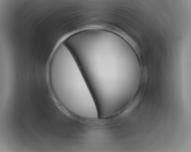 X0000114110862200910051237