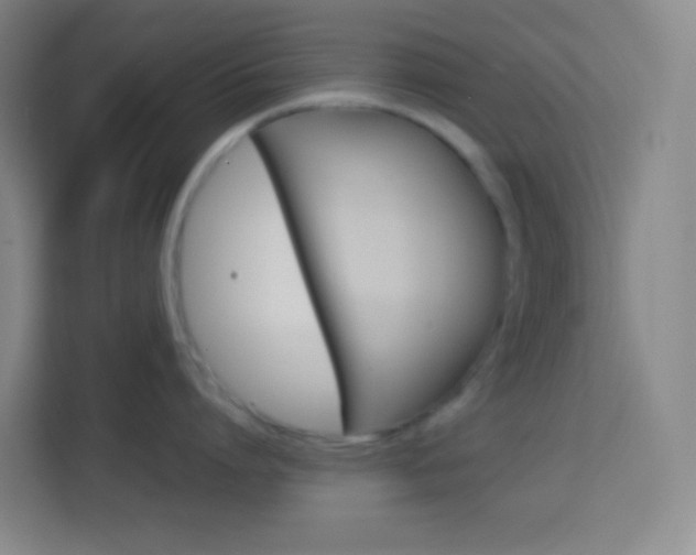 X0000114110864200910051237