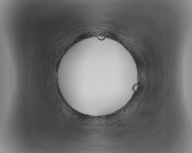X0000114110865200910051237