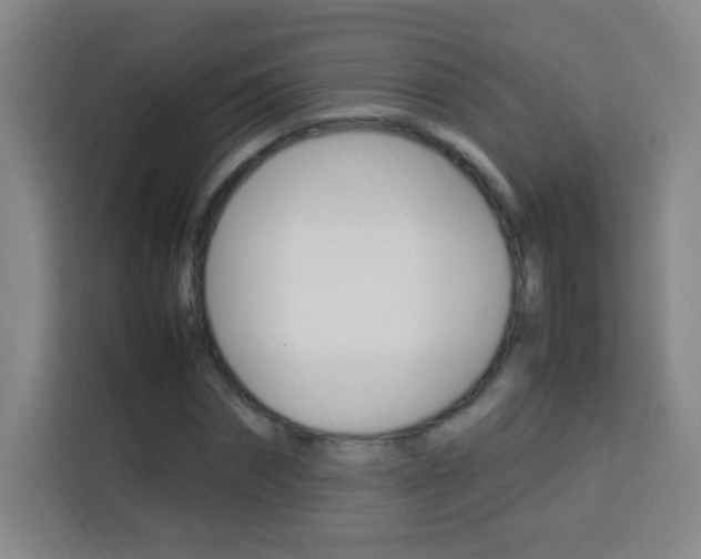X0000114110874200910051236