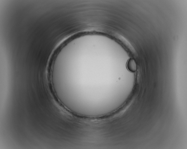 X0000114110876200910051236