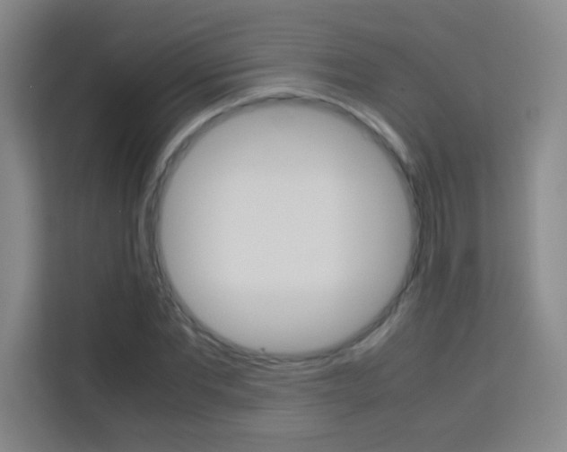 X0000114110877200910051236