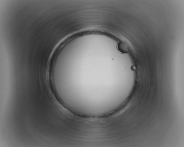 X0000114110880200910051236