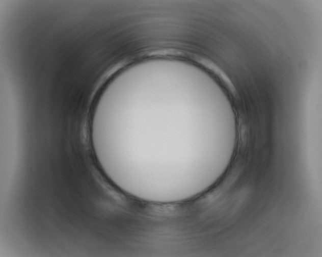 X0000114110882200910051236
