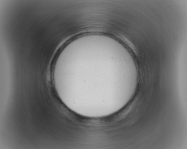 X0000114110883200910051236