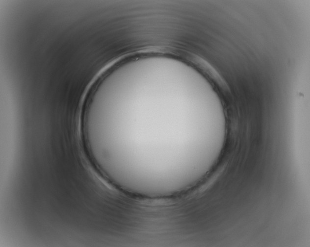 X0000114110884200910051236