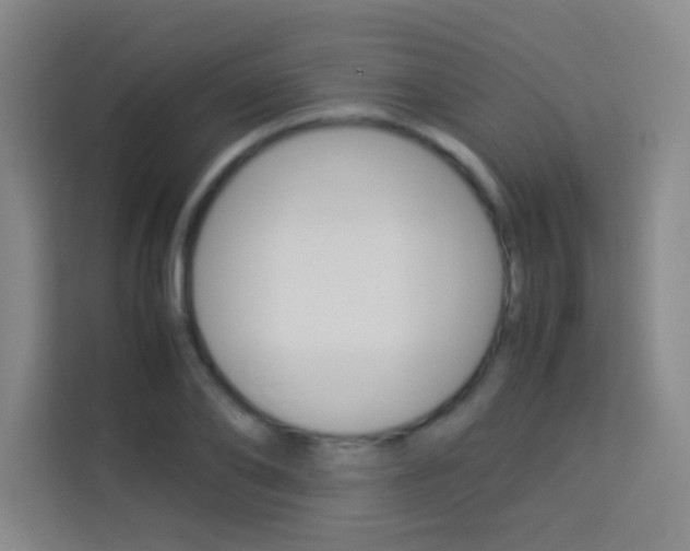 X0000114110886200910051236