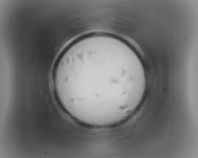 X0000114110887200910051236