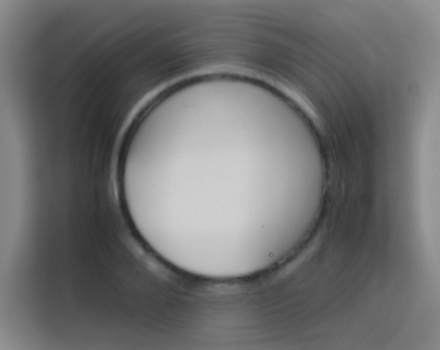 X0000114110888200910051236