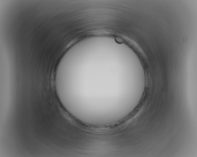 X0000114110889200910051236