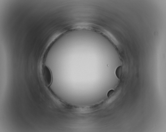 X0000114110893200910051236