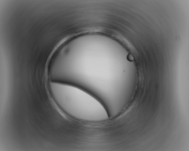 X0000114110894200910051236