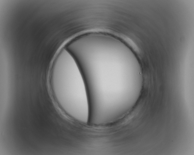 X0000114110895200910051236