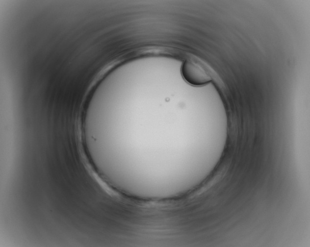 X0000114110898200910051236