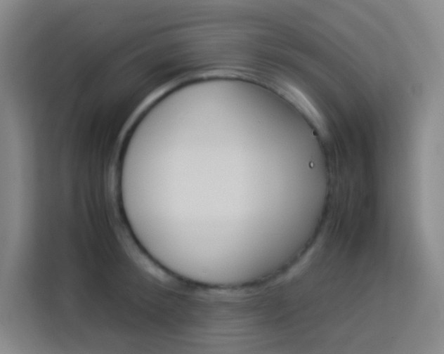 X0000114110900200910051236