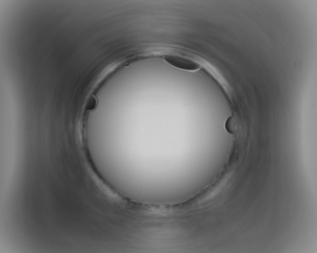 X0000114110901200910051236