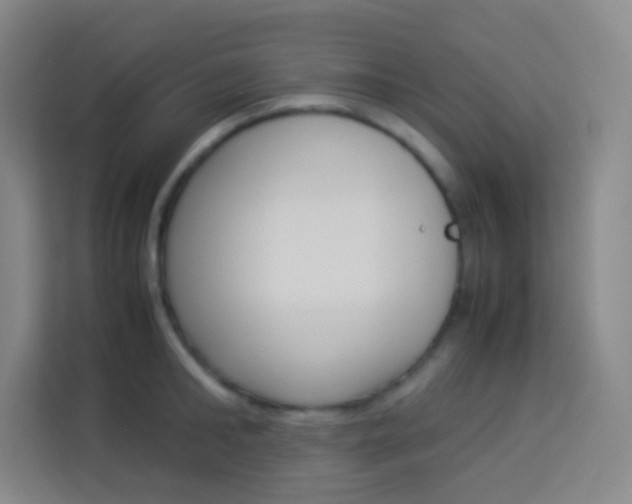 X0000114110902200910051236