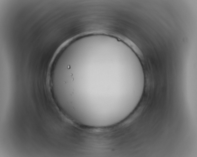 X0000114110904200910051236