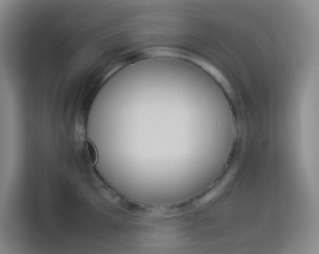 X0000114110905200910051236