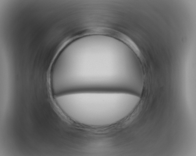 X0000114110907200910051236