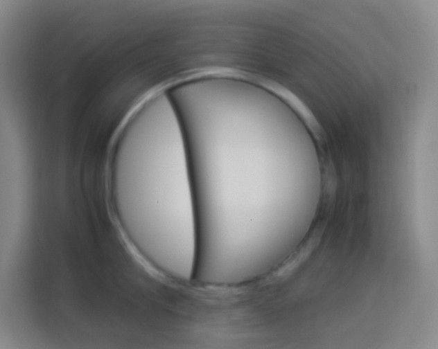 X0000114110910200910051236