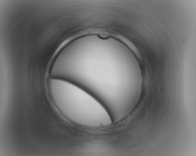 X0000114110911200910051236