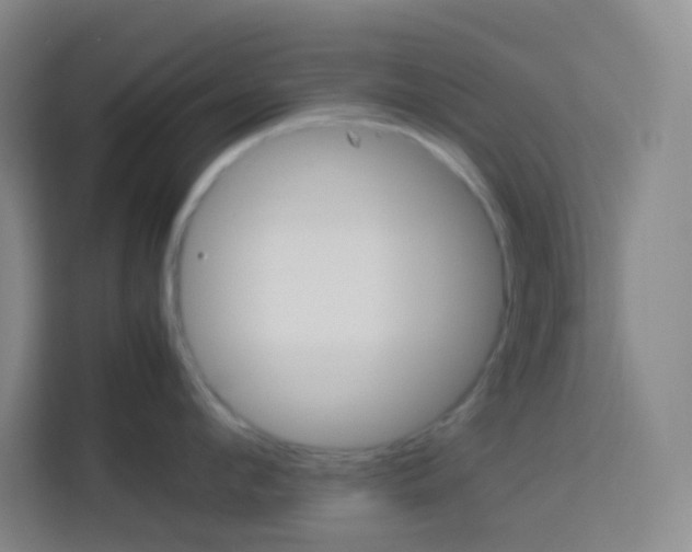 X0000114110912200910051236
