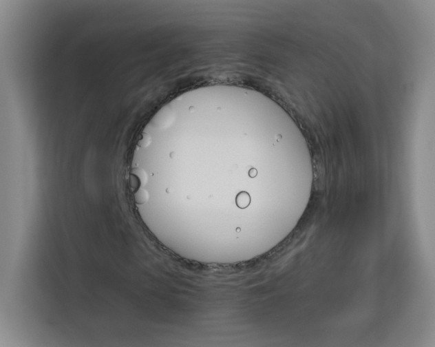 X0000114110913200910051235