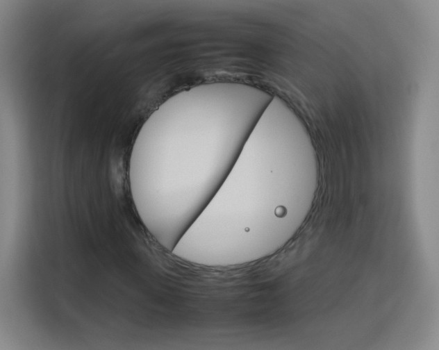 X0000114110915200910051235