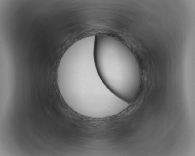 X0000114110916200910051235