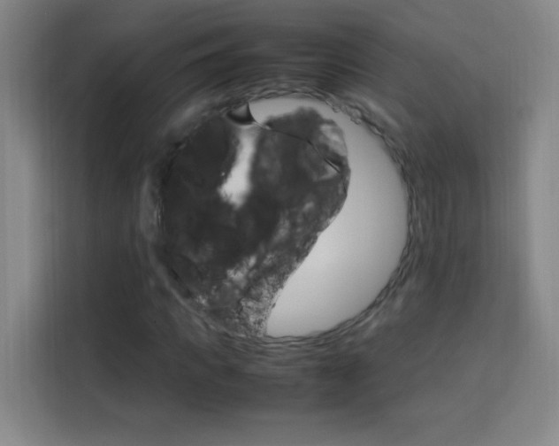 X0000114110917200910051235