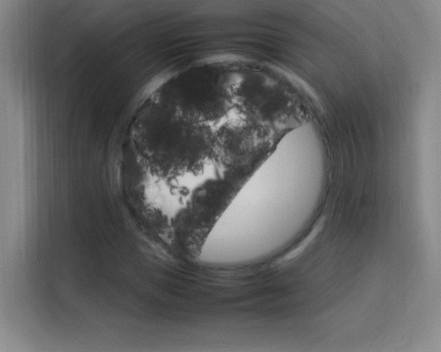 X0000114110921200910051235