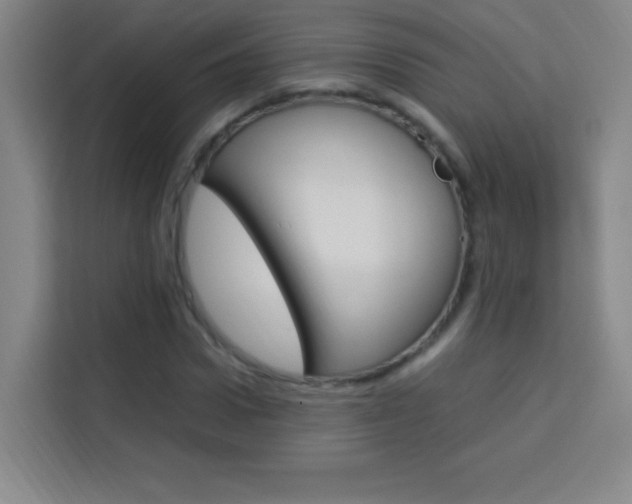 X0000114110922200910051235