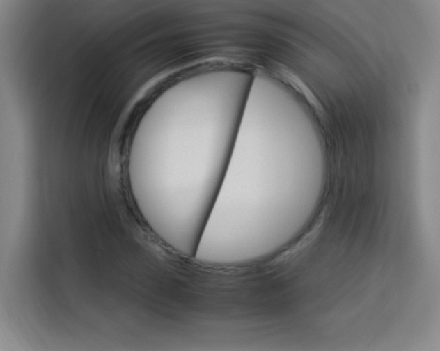 X0000114110923200910051235
