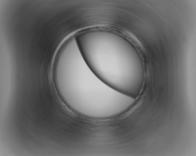 X0000114110924200910051235