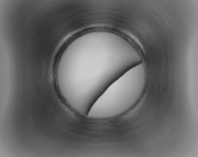 X0000114110927200910051235