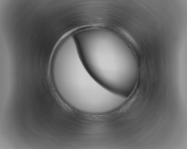 X0000114110932200910051236
