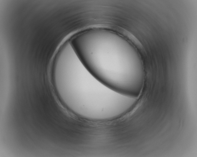 X0000114110934200910051236