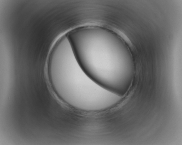 X0000114110936200910051236