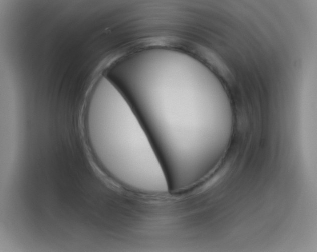 X0000114110938200910051236