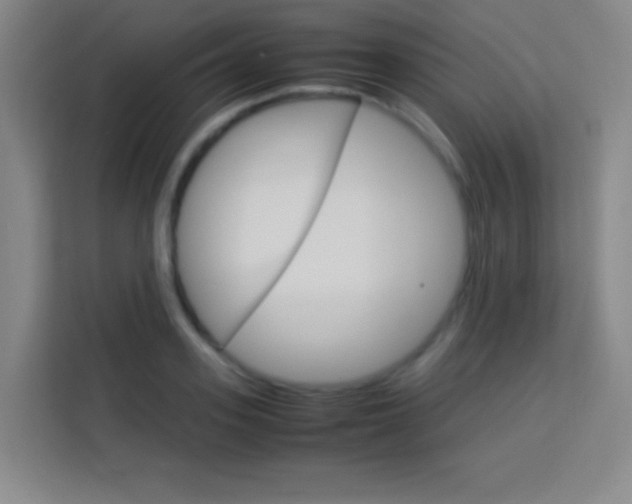 X0000114110939200910051236