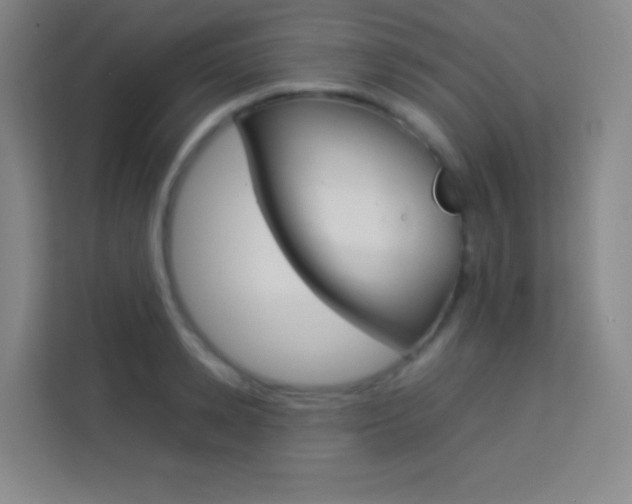 X0000114110942200910051236