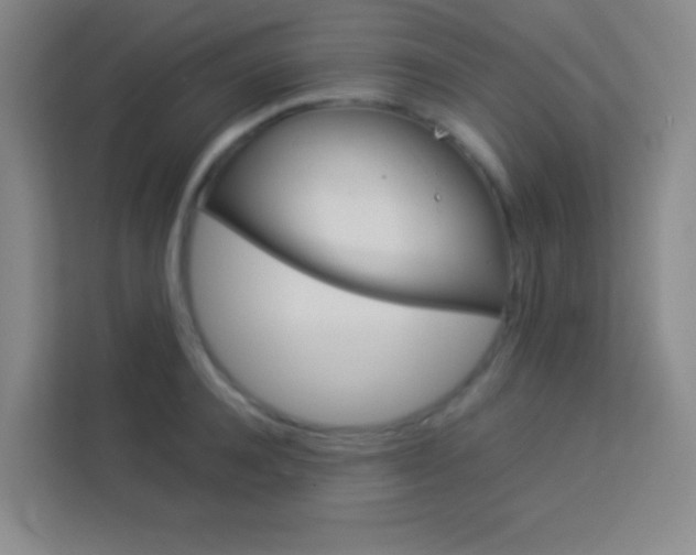 X0000114110944200910051236