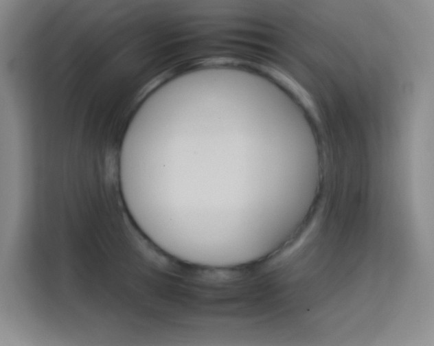 X0000114110945200910051236