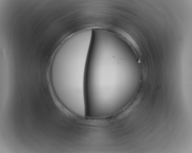 X0000114110946200910051236