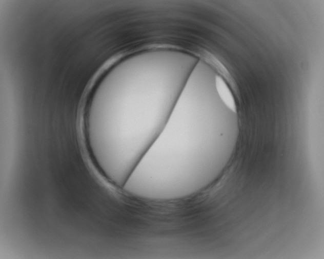 X0000114110947200910051236