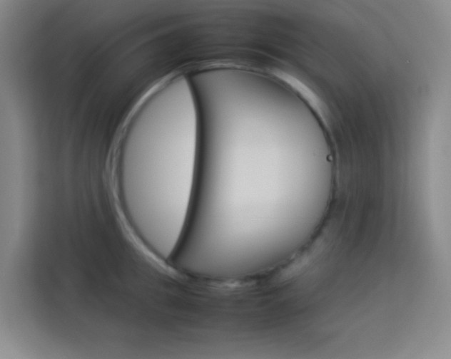 X0000114110949200910051236