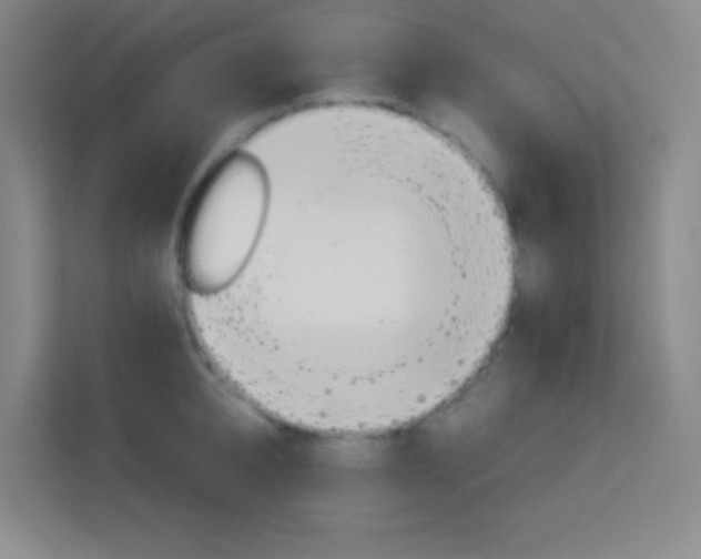 X0000114110950200910051236