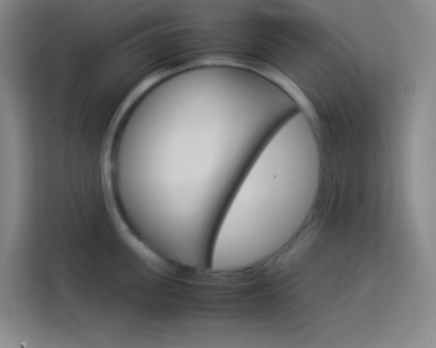 X0000114110955200910051236