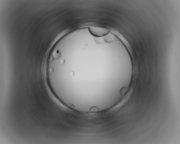 X0000114110957200910051236